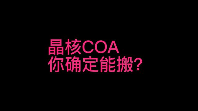 晶核COA你确定能搬?