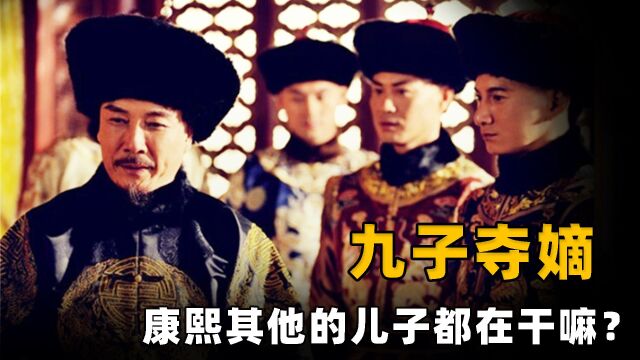 “九子夺嫡”的时候,康熙的其他儿子都在干嘛?他们的结局如何?