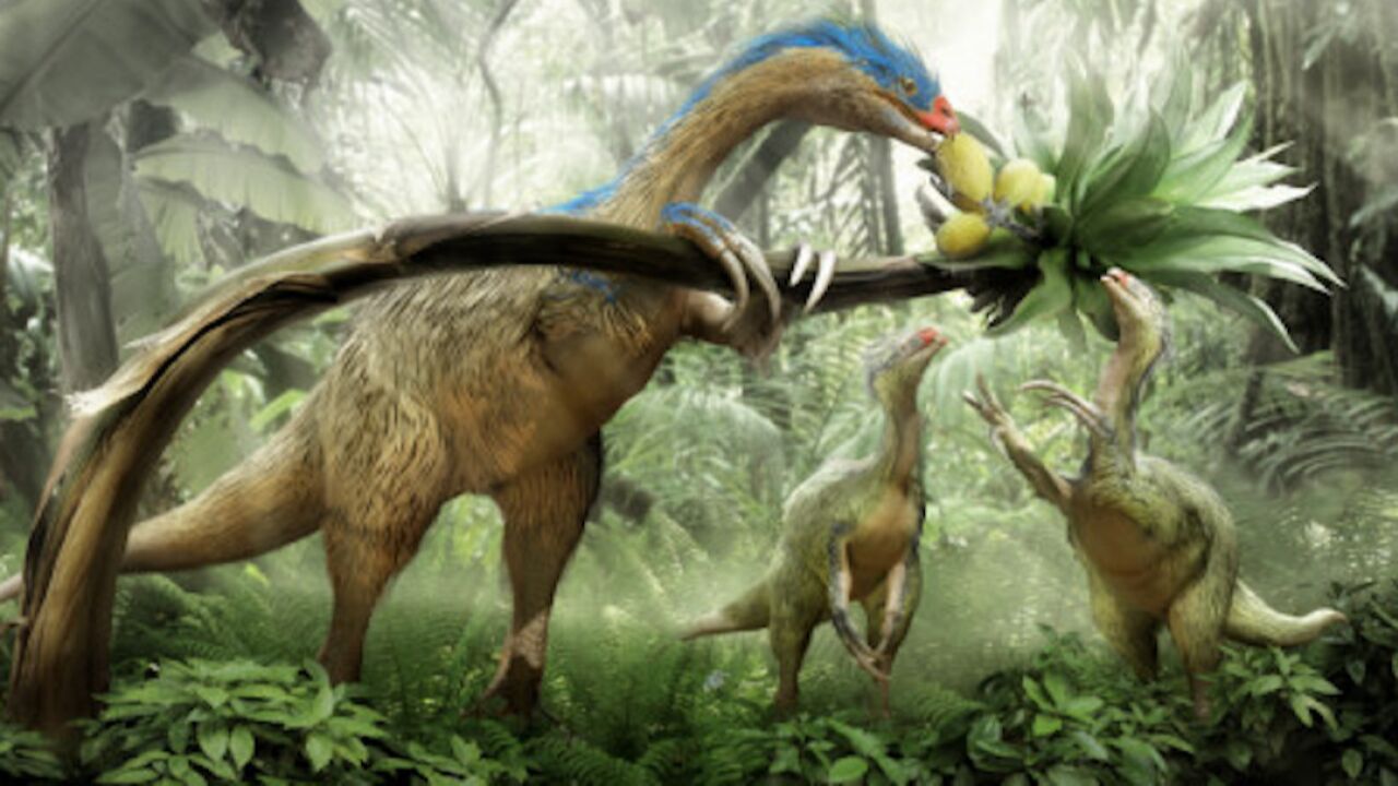 第11集 为什么蜥脚类恐龙都是吃素的?