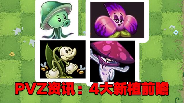 PVZ资讯:4大新植物前瞻,一代元老植物海蘑菇回归?