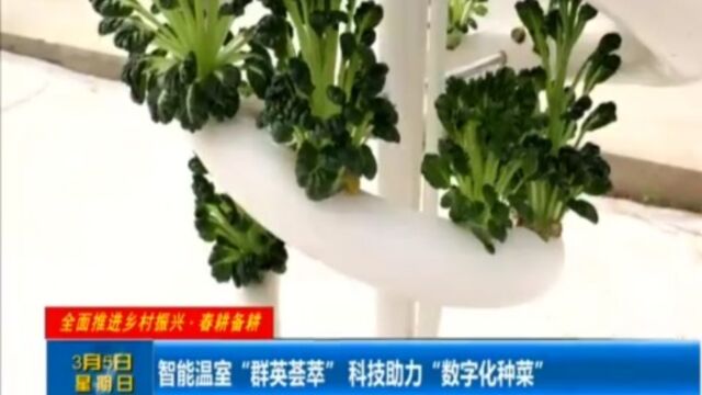 智能温室“群英荟萃”,科技助力“数字化种菜”