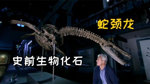 河中巨怪:尼斯湖水怪的真身到底是什么?杰叔带你寻找真相!_高清1080P在线观看平台_腾讯视频