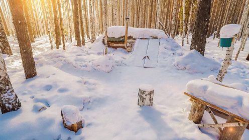 在俄罗斯零下30度森林避难所中野营，做油漆和绝缘门，极限露营