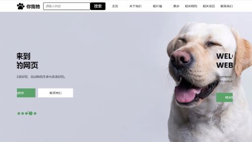 【代码加油站】HTML网页设计-保护动物网页