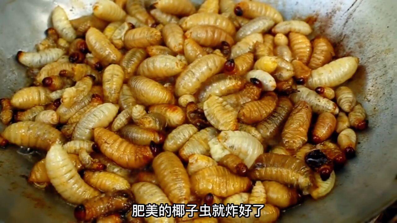 越南特色美食,油炸椰子虫,满满的蛋白质!