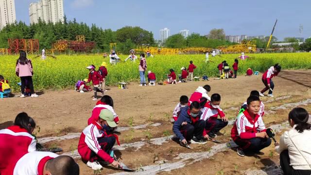 北京师范大学庆阳附属学校第五届春播节精彩瞬间