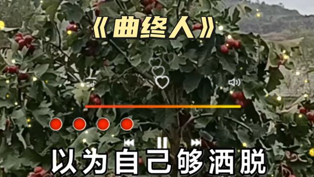 经典老歌《曲终人》