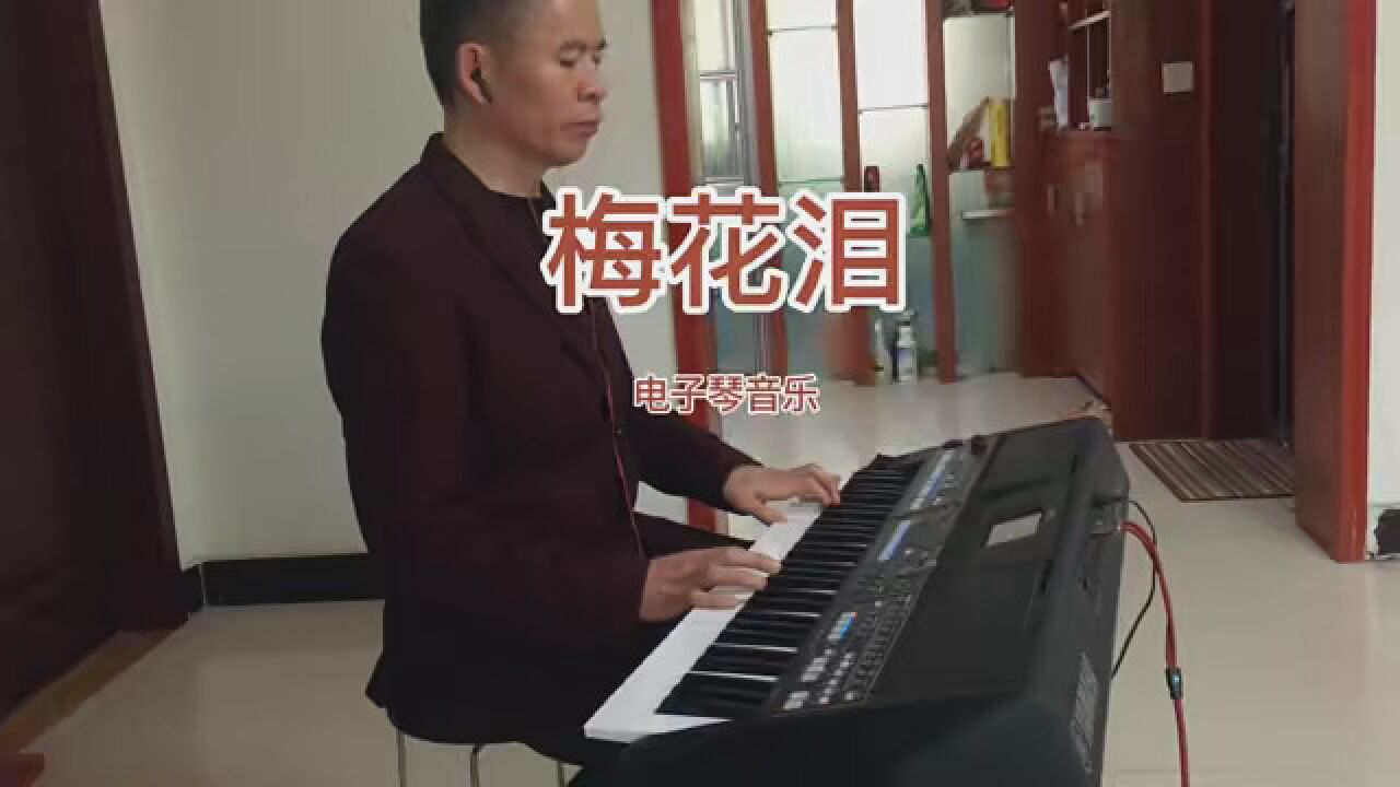 电子琴演奏 #梅花泪 "一曲良音似雷惊 只闻伊人侧身颜空许梅花随风去