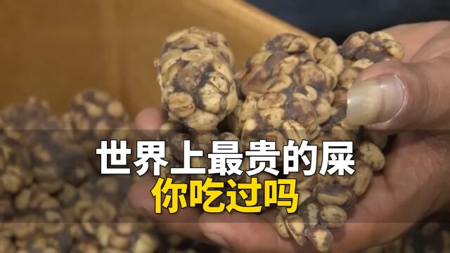 世界上最贵的屎,你吃过几种?