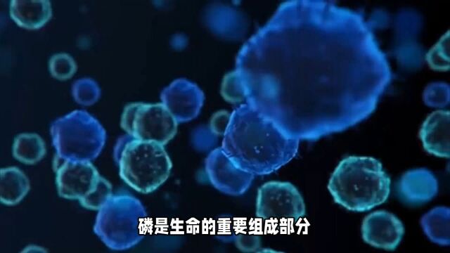 磷:构成生物体骨骼与牙齿的主要化学成分,也参与细胞结构和能量代谢过程