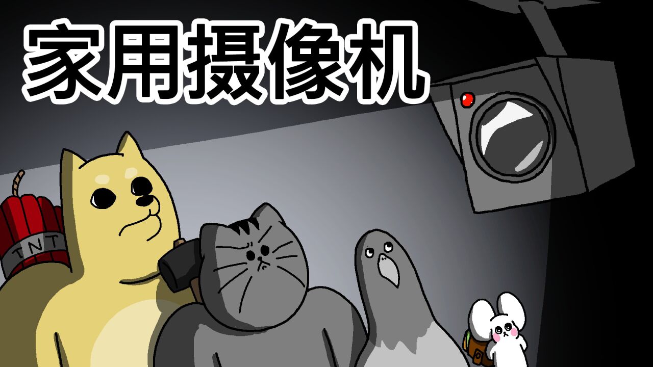 [禽兽朋友们]家用摄像机_高清1080P在线观看平台_腾讯视频