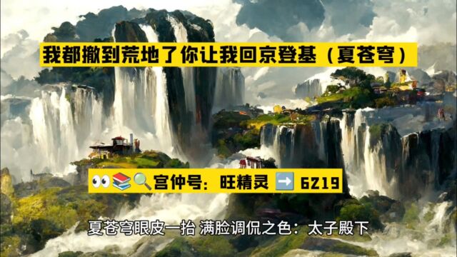 我都撤到荒地了你让我回京登基(夏苍穹)全文TXT阅读○无删减