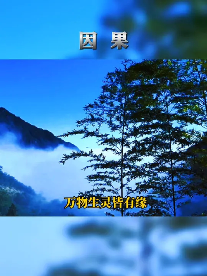 因果 #陈瑞 #匆匆来到人世间 #万物生灵皆有缘 #热点