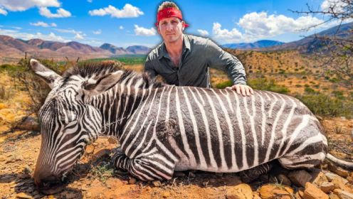 在南非野生动物保护区内捕猎和食用斑马