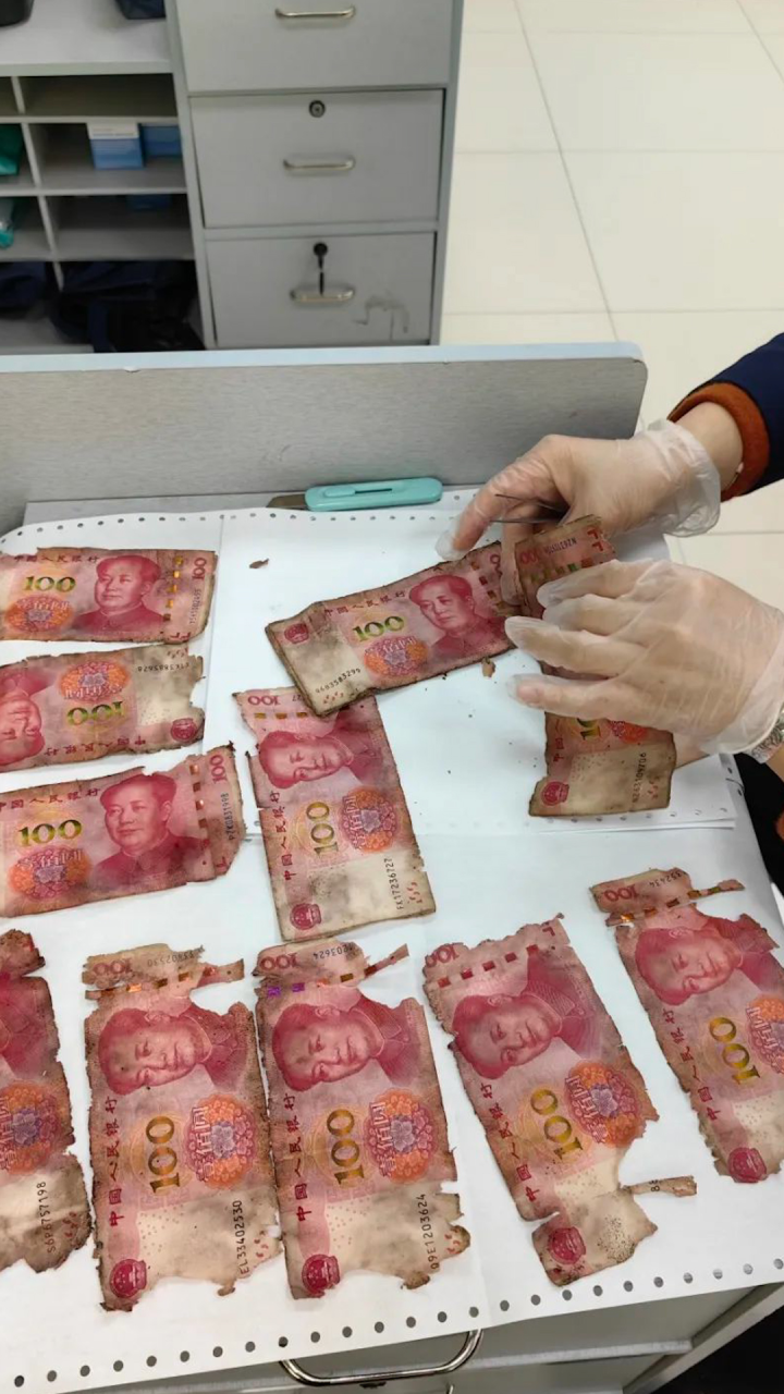 老人怕钱被偷将13万现金藏墓里,一年后发霉破损信用社帮挽回6万