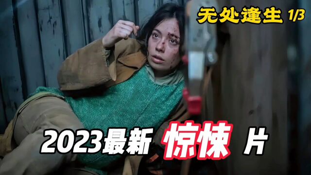 2023最新灾难电影!孕妇乘船偷渡!结果却被困在茫茫大海上!