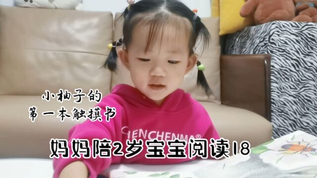 妈妈陪2岁宝宝亲子阅读,兔年读小兔子的书,幼儿数学启蒙和常识认知