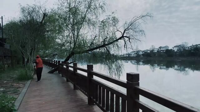 眼中有风景,心中无是非,从普通的烟火中找点诗意,让每一个平凡的日子充满快乐.人生最曼妙的风景,其实就是内心的淡定和从容.