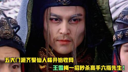 天魔琴09集：五大门派齐聚仙人峰，王雪梅开始收网，一招秒杀六指先生！_高清1080P在线观看平台_腾讯视频