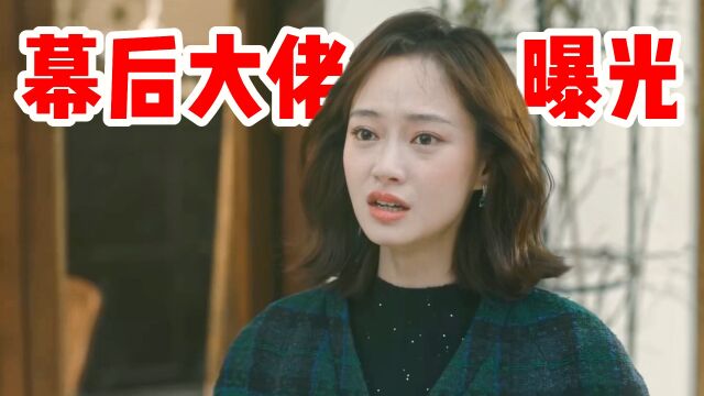 他是谁:聂小雨坠江被救,幕后大佬浮出水面,真凶竟然是他