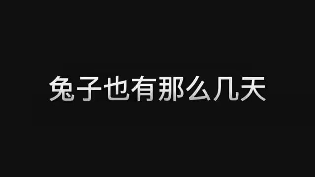 兔子要退群.. #沙雕日常 #二次元沙雕动画 #五常趣事