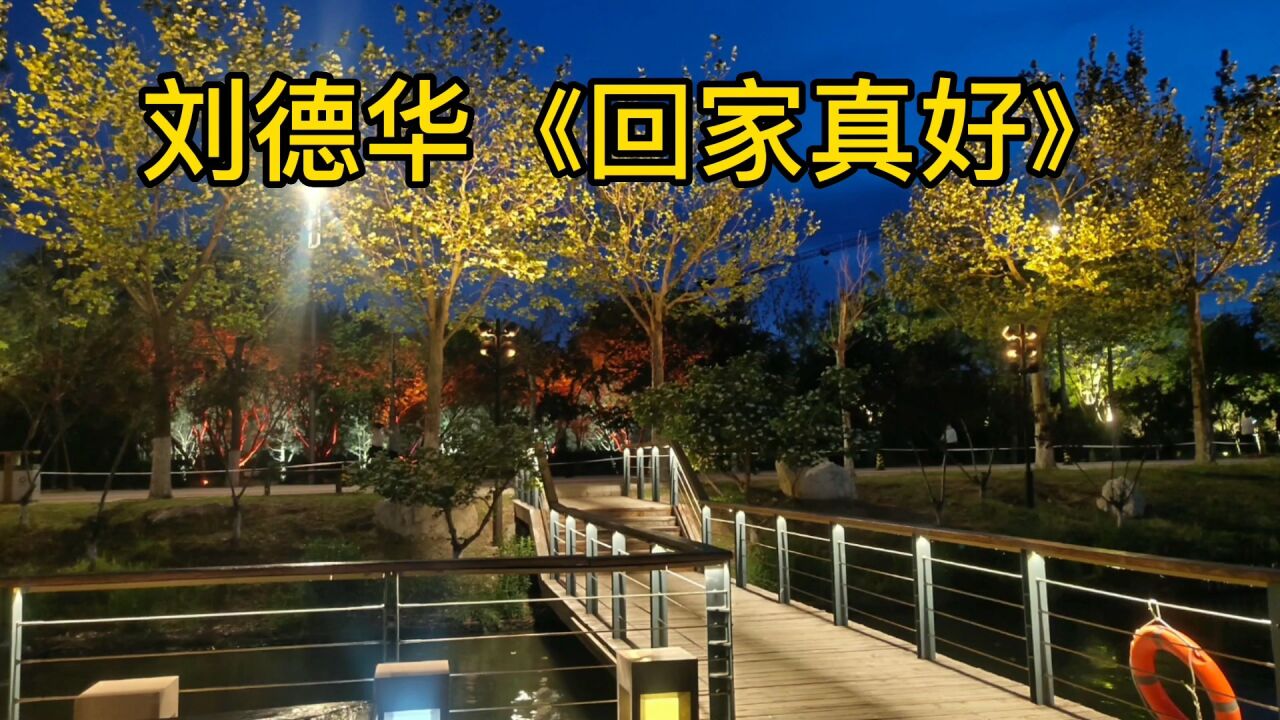 刘德华《回家真好》