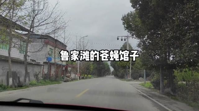 成都市温江区的鲁家滩,像被时光凝固的地方#成都话入门 #成都文旅 #鲁家滩湿地公园 #苍蝇馆子 #人间烟火 #地方美食