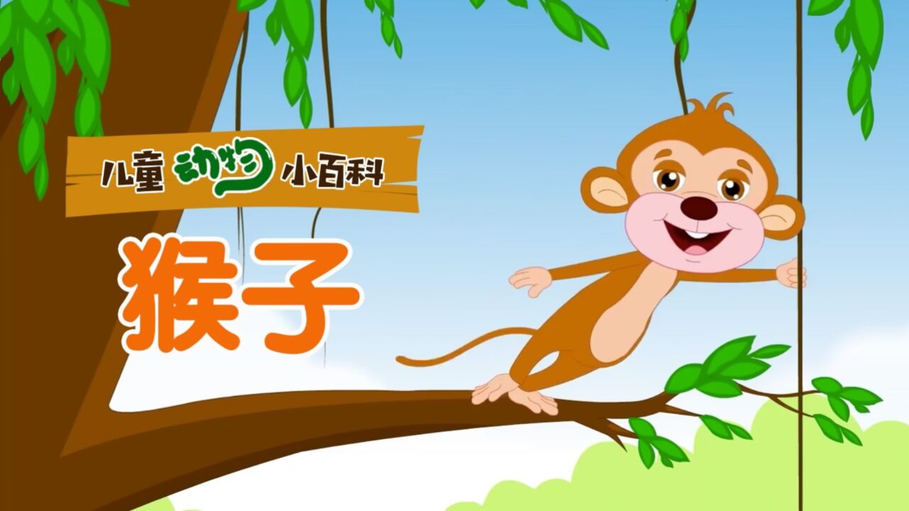 儿童动物小百科猴子_高清