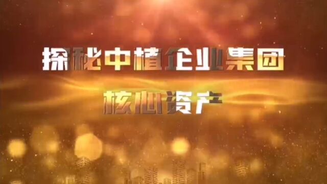 新湖财富:为老旧资产、不良资产强力赋能,“修复”后亮丽入市