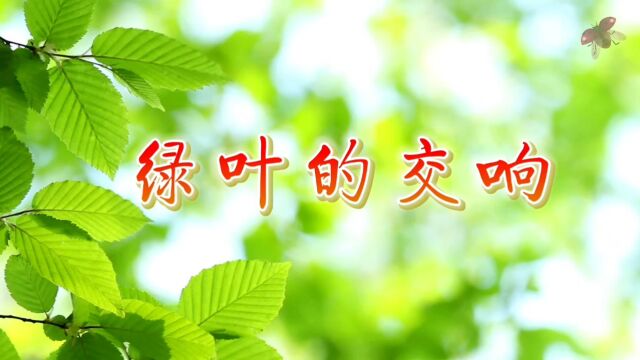 绿叶的交响 儿童课文绿叶大自然诗歌朗诵演讲比赛配乐大屏幕高清LED背景视频素材