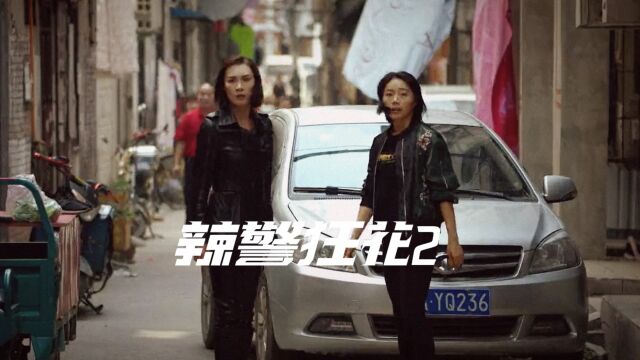 《辣警狂花2》美女警花卧底黑组织,调查网络贷真相!