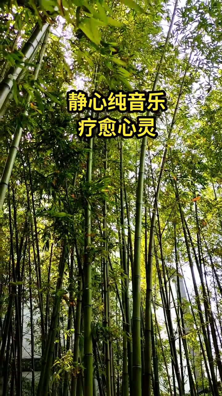 疗愈系纯音乐 #静心养性 #缓解压力