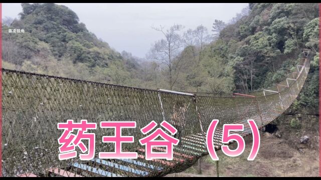 2023年3月下旬的四川绵阳药王谷景区(5)