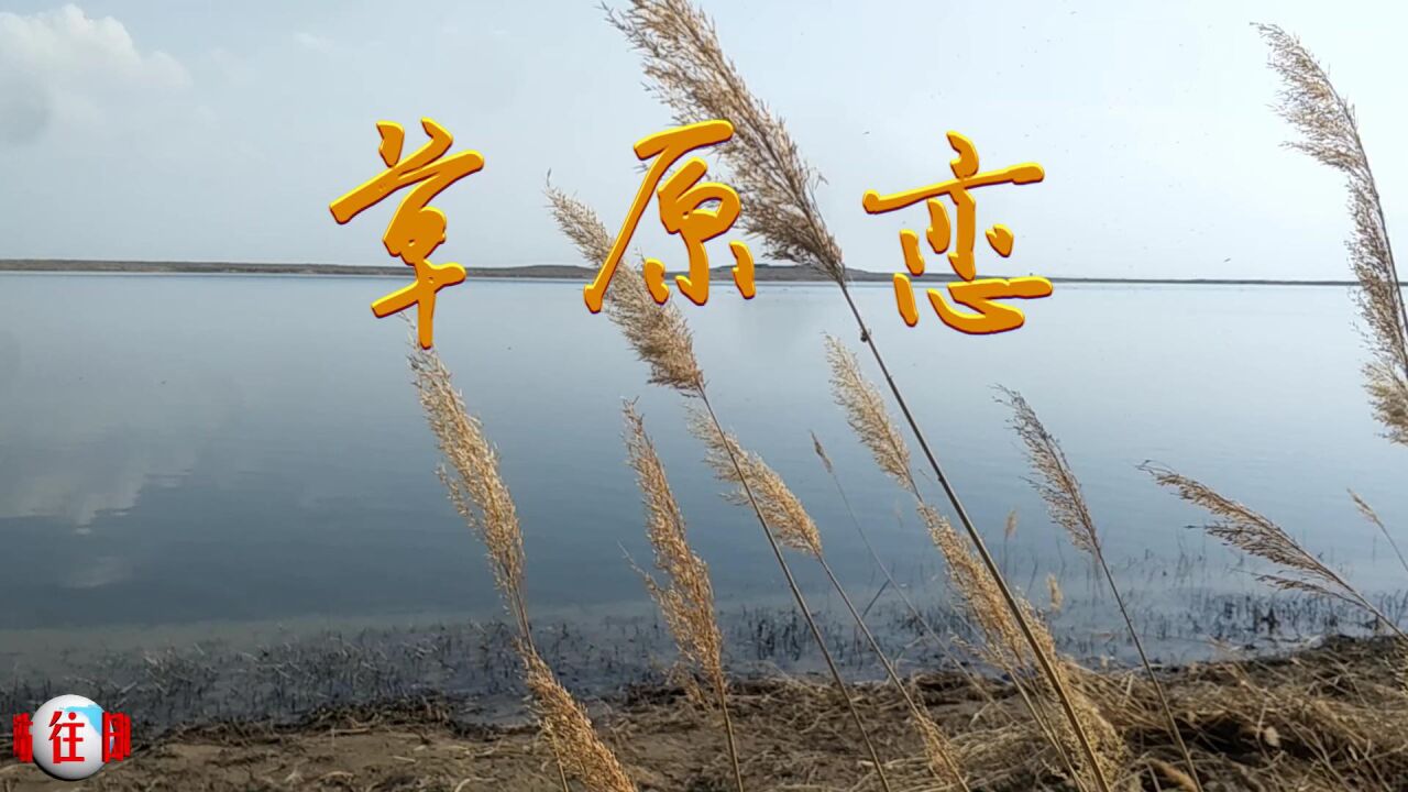 爱旅游爱摄影之《草原恋-齐峰》往日时光