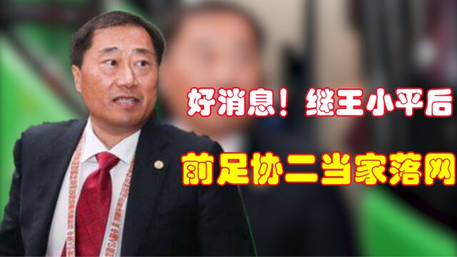 好消息!继王小平后,前足协二当家于洪臣落网.