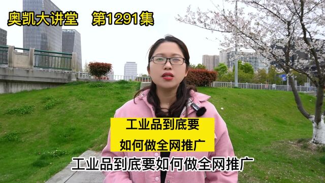 工业品到底要如何做全网推广呢