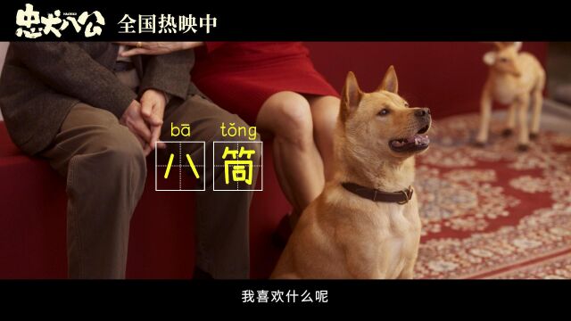 在小狗眼里我们永远是一家人!电影《忠犬八公》全家福预告温情戳心