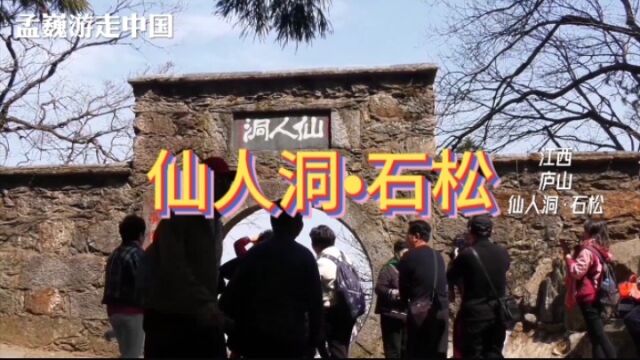 天生一个仙人洞,无线风光在险峰.神秘的仙人洞,劲松挺立石上