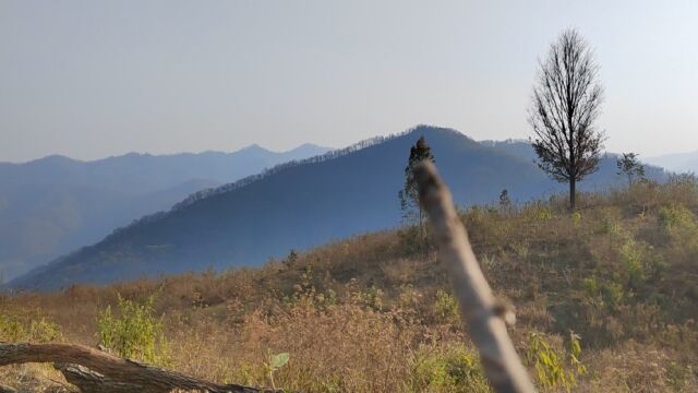 山脉蜿蜒曲折起伏昂起星峰金星开窝,伸手能触娥媚前案,家财万贯