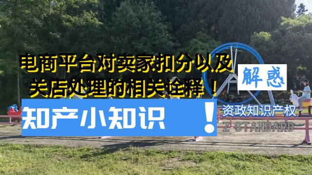 浙江专利律师:电商平台对卖家扣分以及关店处理的相关诠释!