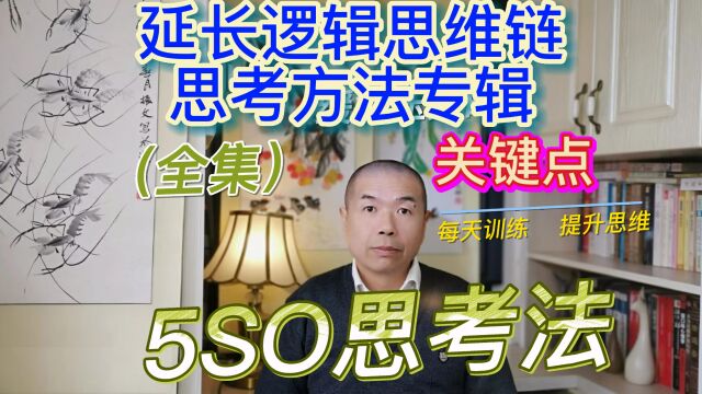 如何让逻辑思维链更长?深度思维会连续追问五个SO思维法(全)