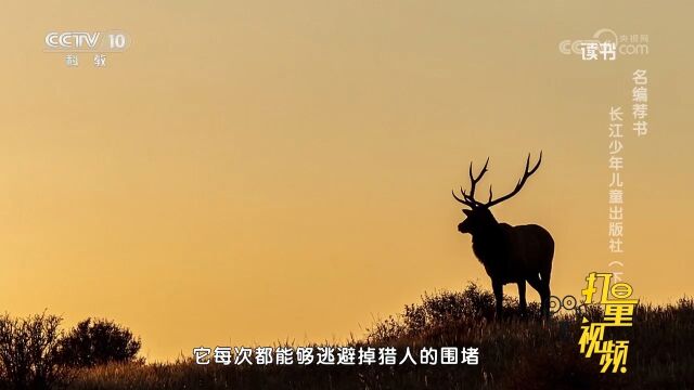 日本动物故事开山鼻祖!《椋鸠十动物故事》每一篇故事都是经典