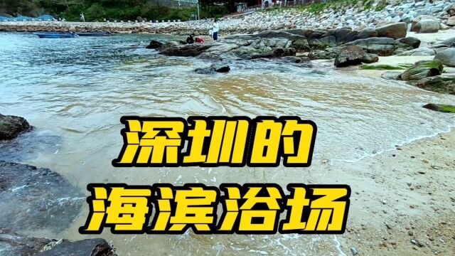 深圳的海滨