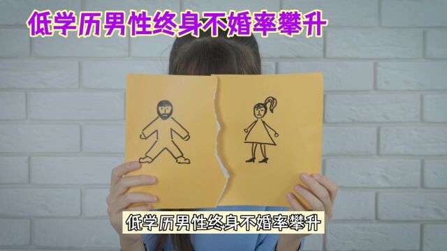 低学历男性终身不婚率攀升,社会现象探讨