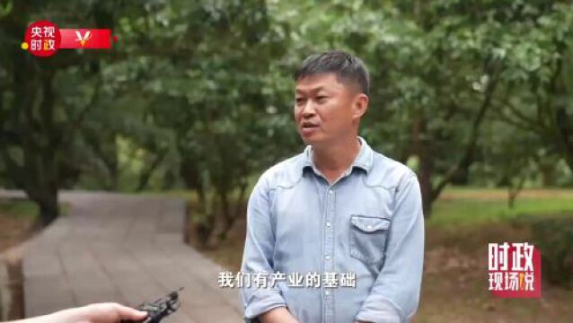 时政现场说|小荔枝“变身”富民大产业