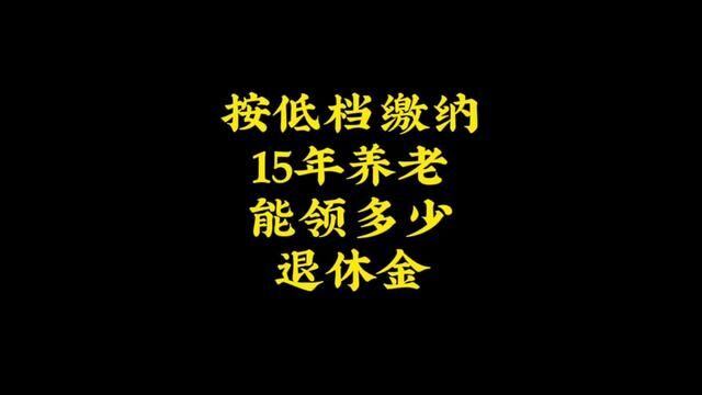 15年能领多少退休金?#社保 #养老