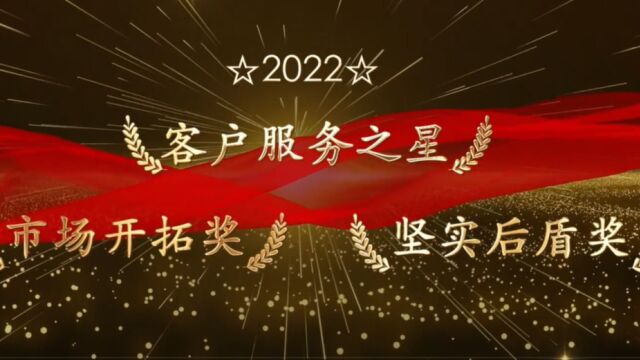 高伟达2022年优秀员工——客户服务之星、市场开拓奖、坚实后盾奖