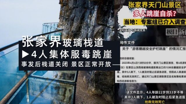 他们到底怎么了?张家界玻璃栈道游客翻跃安全护栏【4人跳崖、1人送院后抢救无效】跳崖前已经服毒!