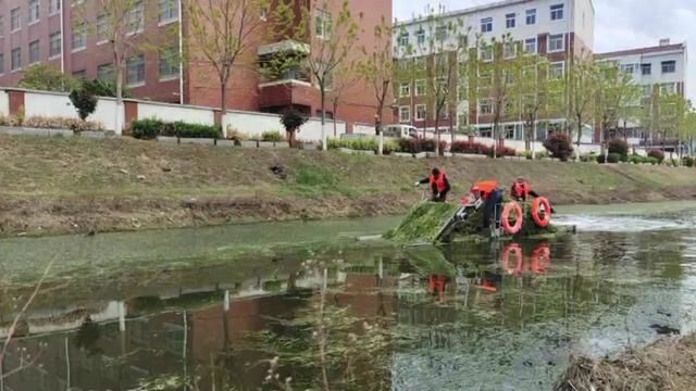 敬业奉献的三线城市商丘市中心城区睢阳区城管局内河办河道工除草#河道清理 #水陆两栖