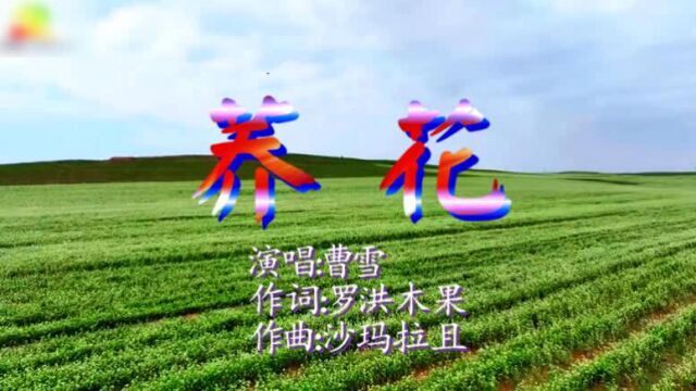 荞花左右声道